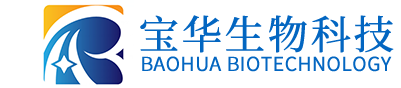 德甲压球-德甲中国
